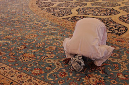  صلاة القيام كم ركعه